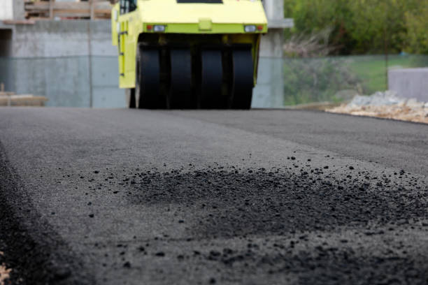 Best Custom Driveway Pavers  in Dunlap, IA